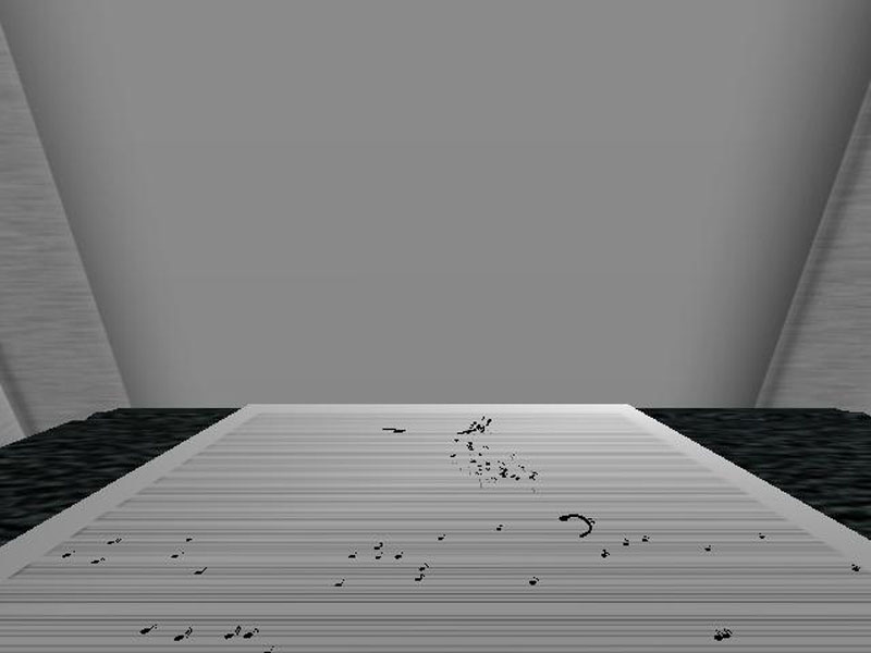 Lgrace_Boids_Notes 2006-10-31 01-19-38-15