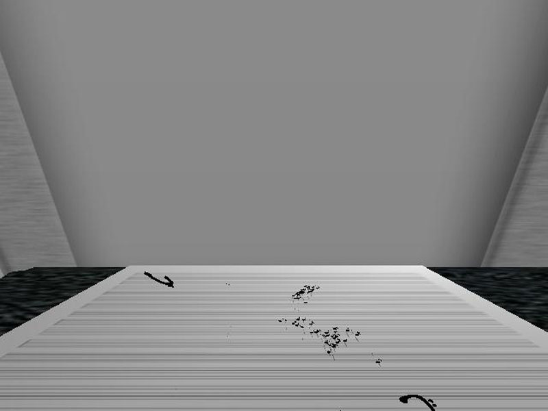 Lgrace_Boids_Notes 2006-10-31 01-19-40-08