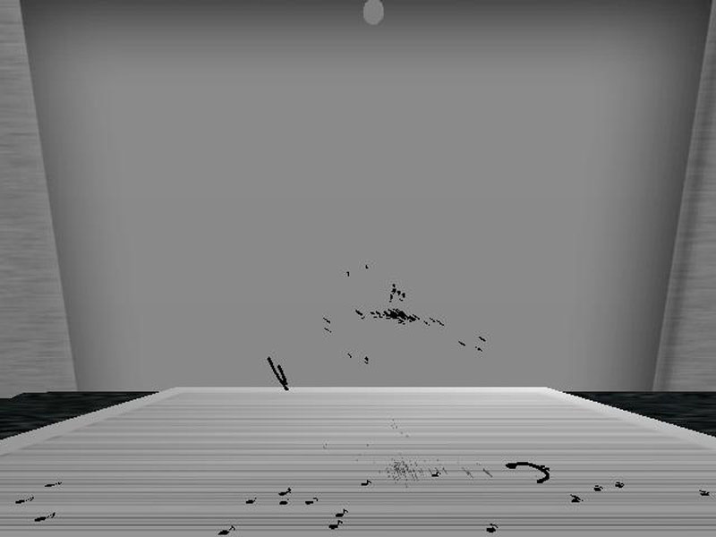 Lgrace_Boids_Notes 2006-10-31 01-20-32-10